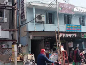 Reddy Andhra Mess Kodambakkam